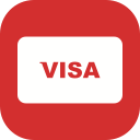 Online payment,Online transaction,Payment method,Visa